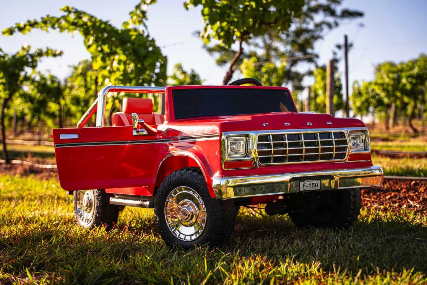 SHOPTOVISTA ™  Licensed Ford for Kids